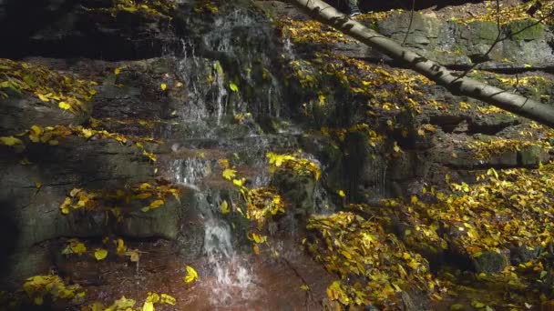 Herbstlaub Bach Zeitlupe Wasserfall Und Herbstlaub Bach Herbstfarben Herbstbach Nahaufnahme — Stockvideo