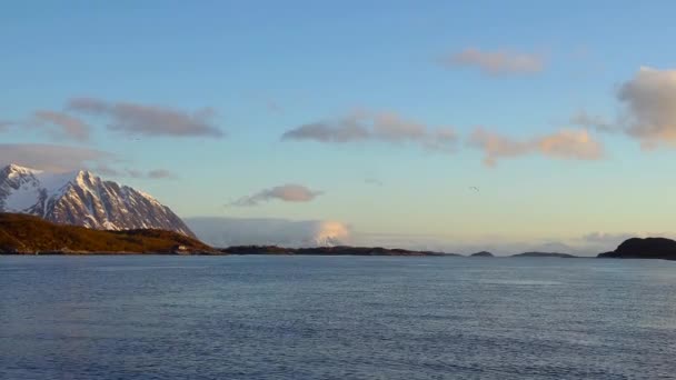 Nowegian Kıyısında Gün Batımında Evler Martılar Gün Batımında Lofoten Adaları — Stok video