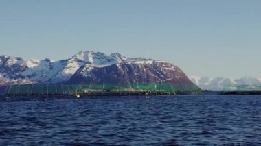 Norveç 'te somon çiftliği, Norveç 'te çiftlik somon balıkçılık, Norveç Denizi 'nde somon çiftliği ağı