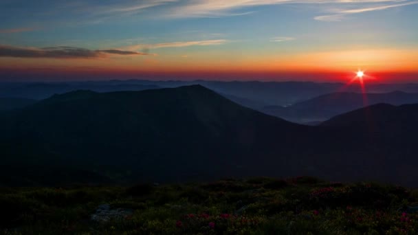 Salida Del Sol Las Montañas Lapso Tiempo Rododendros Florecientes Contra — Vídeo de stock