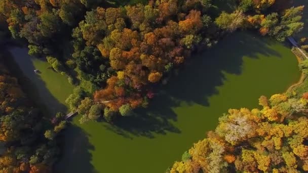 飞行在秋天湖在公园 秋天自然空中风景 飞行在美丽的公园与池塘和湖 秋天自然空中风景飞行在湖和明亮地颜色的森林 — 图库视频影像