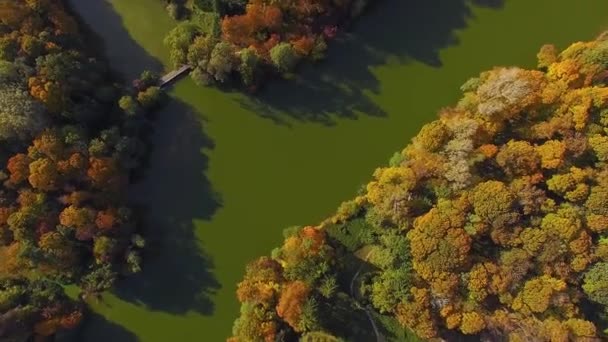 Vuelo Sobre Lago Otoño Parque Paisaje Aéreo Naturaleza Otoño Vuelo — Vídeo de stock