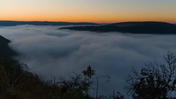 Zeitraffer Des Nebels Über Dem Fluss Bei Sonnenaufgang Dichter Nebel — Stockvideo