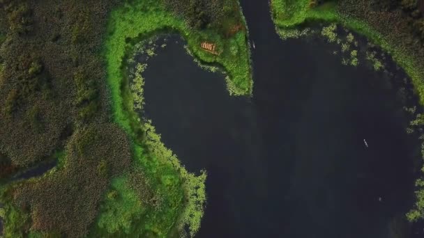 vue du dessus de la zone humide, vue aérienne élevée des cours d'eau et des lagunes, dérive vers l'arrière dans les marécages 