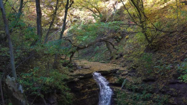 Luftaufnahme Von Herbst Wasserfall Wasserfall Und Herbst Laub Wasserfall Herbstfarben — Stockvideo