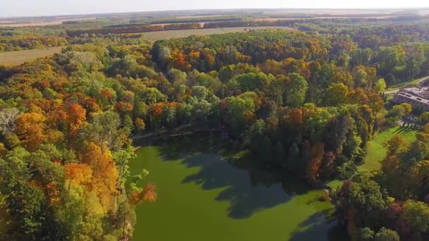飞行在秋天湖在村庄 秋天自然空中风景飞行在美丽的公园与池塘和湖 秋天自然空中风景飞行在湖和明亮地颜色的森林 — 图库视频影像
