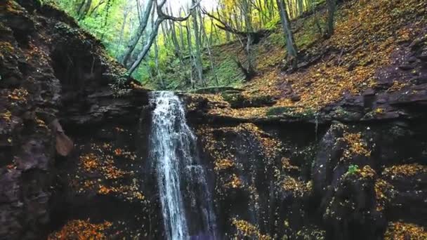 秋の滝の航空写真 滝と紅葉の航空写真 秋の色の滝 — ストック動画