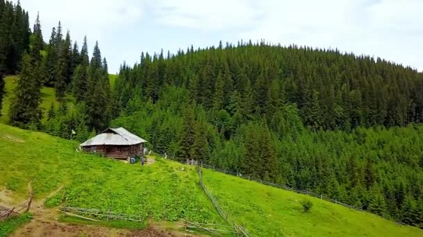 山の中でクリーマリーチーズの空中ビュー 山の牧草地で孤独な家 カルパティア山脈で放牧牛と緑の草原の上にドローン空中飛行 — ストック動画