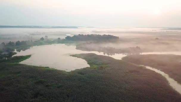 Vista Aérea Niebla Sobre Pantano Amanecer Niebla Mañana Sobre Lago — Vídeos de Stock