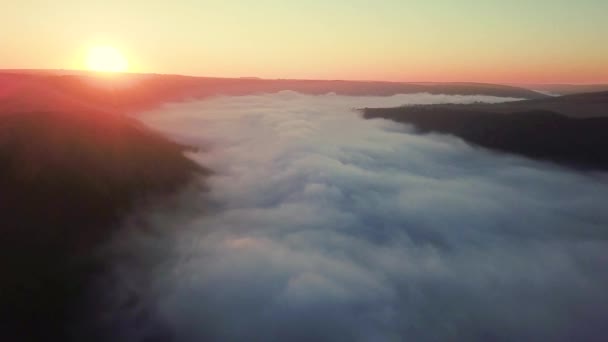 Vista Aérea Del Río Amanecer Volar Sobre Niebla Mañana Río — Vídeo de stock