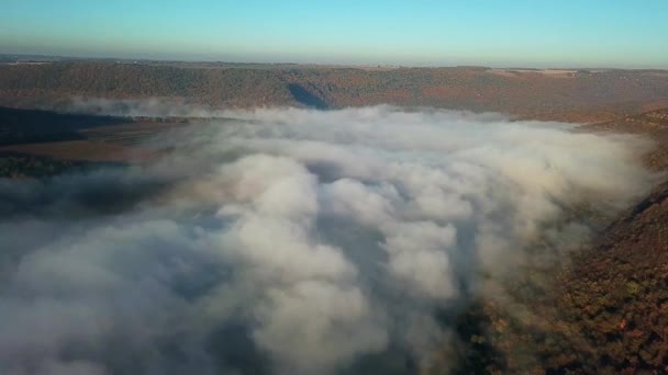 Vue Aérienne Brouillard Dessus Rivière Lever Soleil Brouillard Épais Dessus — Video