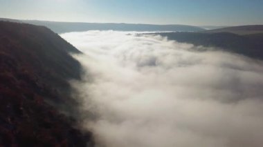Güneşin doğuşunda nehir üzerinde sis havadan görünümü, nehir hava üzerinde kalın sis, Dinyester üzerinde sis, sabah sis içinde nehir, güneşin doğuşunda sis