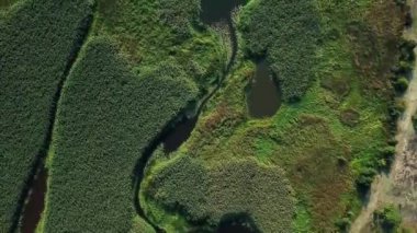 Pripyat River FLOODPLAIN havadan görünümü, nehir sarma havadan görünümü, sulak alanların havadan görünümü, bataklık havadan görünümü
