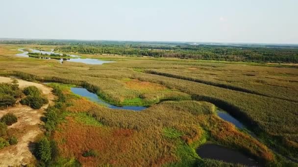 Вид Водно Болотные Угодья Высокий Вид Воздуха Водные Пути Лагуны — стоковое видео