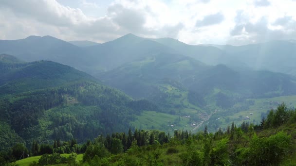 Гірський Літній Пейзаж Сосновий Ліс Ліс Гірська Долина Зелені Гори — стокове відео