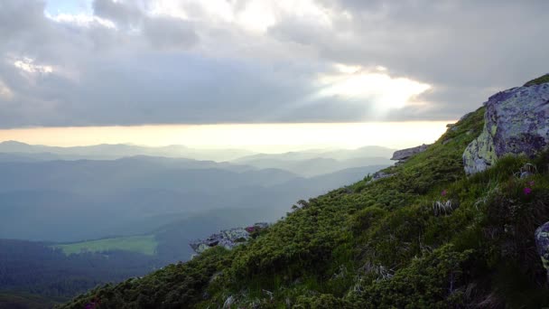 Paisaje Montañoso Desde Cima Montaña Paisaje Verano Montañoso Bosque Pinos — Vídeos de Stock