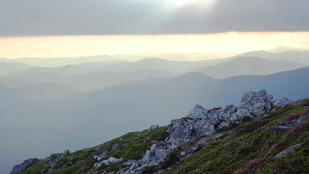 Paisaje Montañoso Desde Cima Montaña Paisaje Verano Montañoso Bosque Pinos — Vídeo de stock