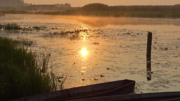 Sabah Sislerinde Balıkçılarla Tekne Gün Doğumunda Eski Tekneler Nehirde Portakal — Stok video