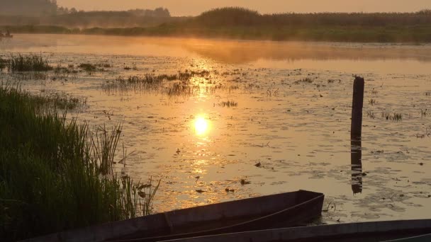 Barca Con Pescatori Nella Nebbia Del Mattino Vecchie Barche Nella — Video Stock