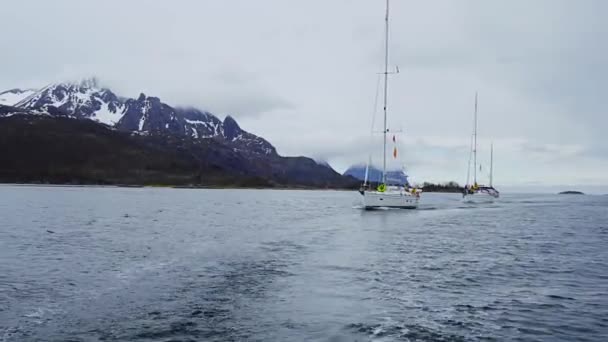 Jachtok Norvég Tenger Jachtok Lofoten Szigeteken Vitorlás Hajó Mozog Vihar — Stock videók