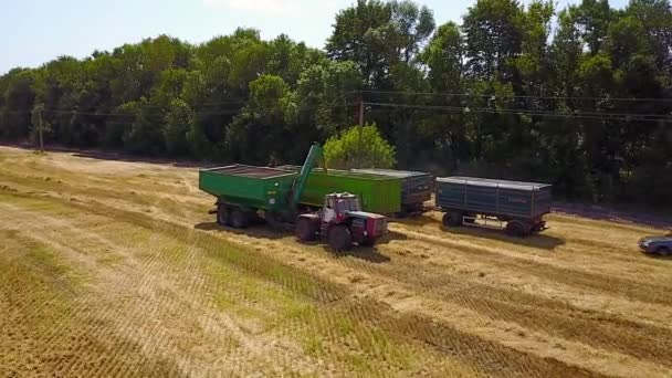 Buğday Tarlasında Tarım Makinelerinin Havadan Görünümü Kırsal Kesimde Tarım Makineleri — Stok video