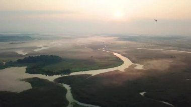 şafakta bataklık üzerinde sis havadan görünümü, göl üzerinde sabah sis, göl üzerinde sabah sis uçuş