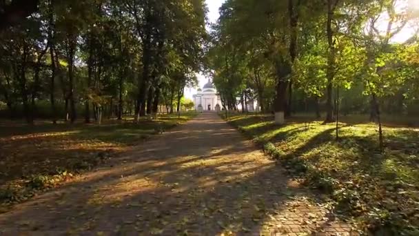 Vlucht Boven Herfst Steeg Ochtend Vlucht Herfst Avenue Bij Dageraad — Stockvideo