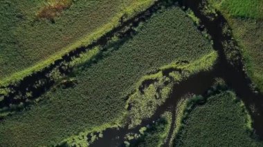 sulak üst görünümü, su yolları ve lagünler yüksek havadan görünümü, Bataklık through Havadan Geri Drift