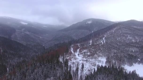 Vista Aérea Das Montanhas Inverno Paisagem Inverno Majestosas Montanhas Neve — Vídeo de Stock