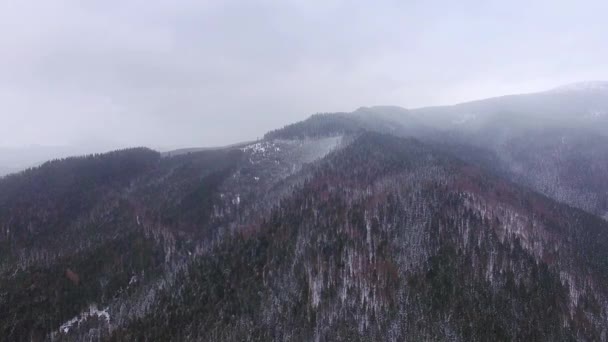 Vista Aerea Della Montagna Invernale Paesaggio Invernale Montagne Neve Maestoso — Video Stock