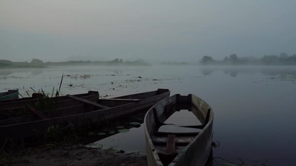 Vecchie Barche Nella Nebbia Del Mattino Nebbia Prima Dell Alba — Video Stock