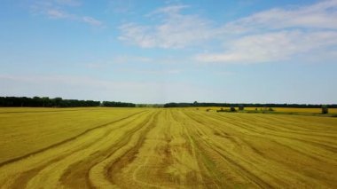 chamfered buğday tarlasının havadan görünümü, Buğday Avrupa alanları, tarlada buğday hasat havadan görünümü, Doğrudan yukarıda Uçan Tarım sahnenin Üst görünümü birleştirmek