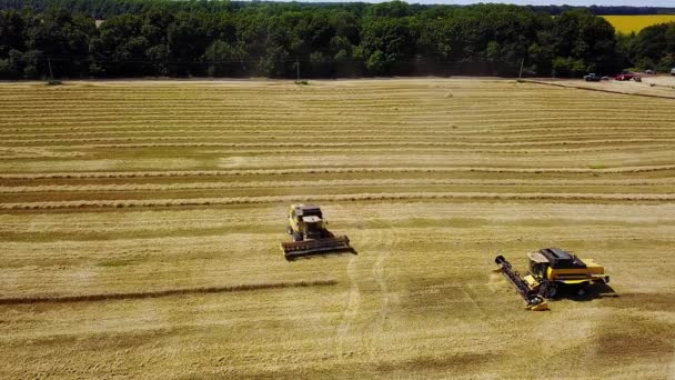 Vista Aérea Máquinas Agrícolas Campo Trigo Cena Agrícola Com Máquinas — Vídeo de Stock