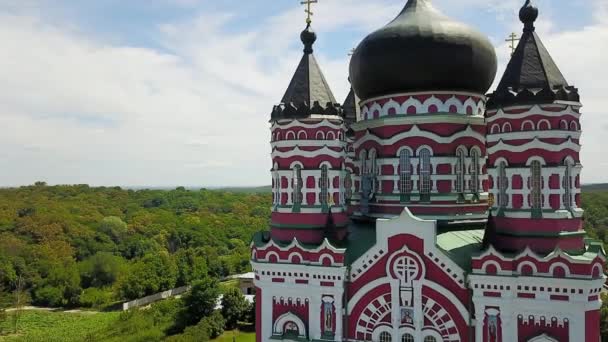 Luchtfoto Van Panteleimon Convent Feofania Panteleimon Klooster Kiev Luchtfoto Van — Stockvideo