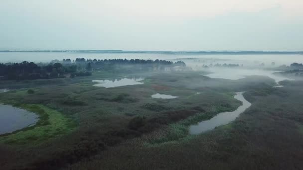 Luchtfoto Van Pre Dawn Mist Meren Mist Voor Zonsopgang Antenne — Stockvideo