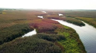 Pripyat River FLOODPLAIN havadan görünümü, nehir sarma havadan görünümü, sulak alanların havadan görünümü, bataklık havadan görünümü