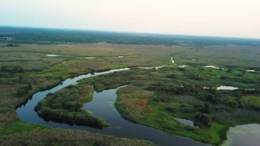 Pripyat River FLOODPLAIN havadan görünümü, nehir sarma havadan görünümü, sulak alanların havadan görünümü, bataklık havadan görünümü