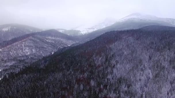 Vista Aérea Das Montanhas Inverno Paisagem Inverno Majestosas Montanhas Neve — Vídeo de Stock