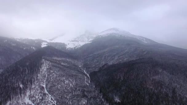 Luchtfoto Van Winter Bergen Winterlandschap Majestueuze Sneeuw Bergen Luchtfoto Van — Stockvideo