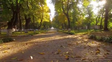 Sabah sonbahar sokak üzerinde uçuş, şafakta sonbahar caddesi üzerinde uçuş, sabah sonbahar parkta Alley, kiliseye sokak üzerinden, sonbahar parkı, Kachanovka sarayı ve orman ağaçları park topluluk üzerinden uçmak