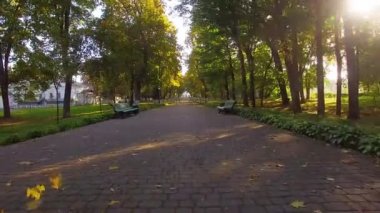Sabah sonbahar sokak üzerinde uçuş, şafakta sonbahar caddesi üzerinde uçuş, sabah sonbahar parkta Alley, kiliseye sokak üzerinden, sonbahar parkı, Kachanovka sarayı ve orman ağaçları park topluluk üzerinden uçmak
