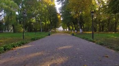 Sabah sonbahar sokak üzerinde uçuş, şafakta sonbahar caddesi üzerinde uçuş, sabah sonbahar parkta Alley, kiliseye sokak üzerinden, sonbahar parkı, Kachanovka sarayı ve orman ağaçları park topluluk üzerinden uçmak