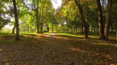 Sabah sonbahar sokak üzerinde uçuş, şafakta sonbahar caddesi üzerinde uçuş, sabah sonbahar parkta Alley, kiliseye sokak üzerinden, sonbahar parkı, Kachanovka sarayı ve orman ağaçları park topluluk üzerinden uçmak