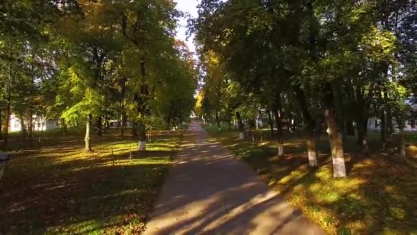 朝の秋の路地の上の飛行 夜明けの秋の大通りに飛行 朝の秋の公園の路地 教会への路地を通って 秋の公園 カチャノフカ宮殿と森林の木の公園アンサンブルを飛びます — ストック動画