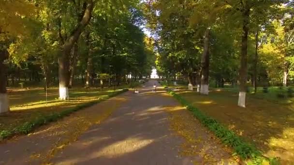 清晨飞过秋巷 黎明在秋大道上飞行 在秋园的小巷里 穿过小巷到教堂 飞过秋天的公园 卡恰诺夫卡宫和公园合奏林树 — 图库视频影像