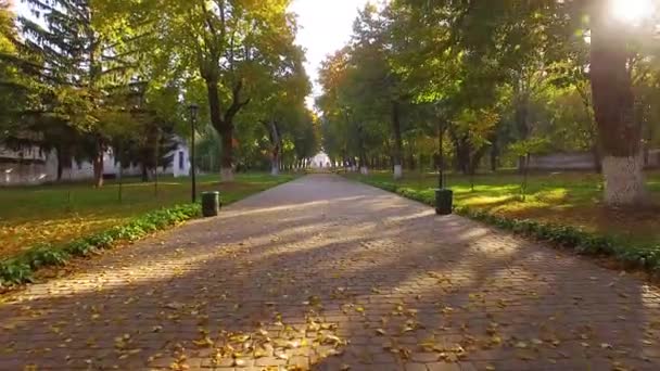 Vuelo Por Encima Del Callejón Otoño Por Mañana Vuelo Avenida — Vídeo de stock