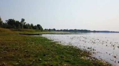 göl kıyısında tekneler ve nilüferler üzerinde uçuş, güneşli bir günde nehir kıyısı, göl üzerinde eski teknelerin havadan görünümü