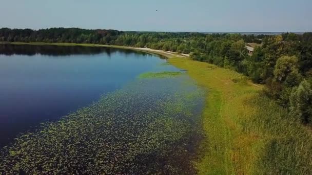 Flug Über Boote Und Seerosen Ufer Des Sees Flussufer Einem — Stockvideo