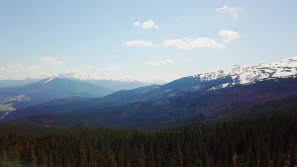 Luftaufnahme Bewaldeter Berge Wunderbarer Flug Den Schönen Wald Den Bergen — Stockvideo