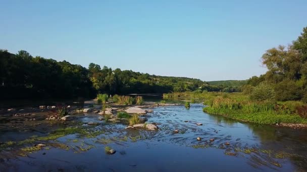 Légi Kilátás Folyó Repülő Folyó Fölött Zöld Fák Repülés Alatt — Stock videók